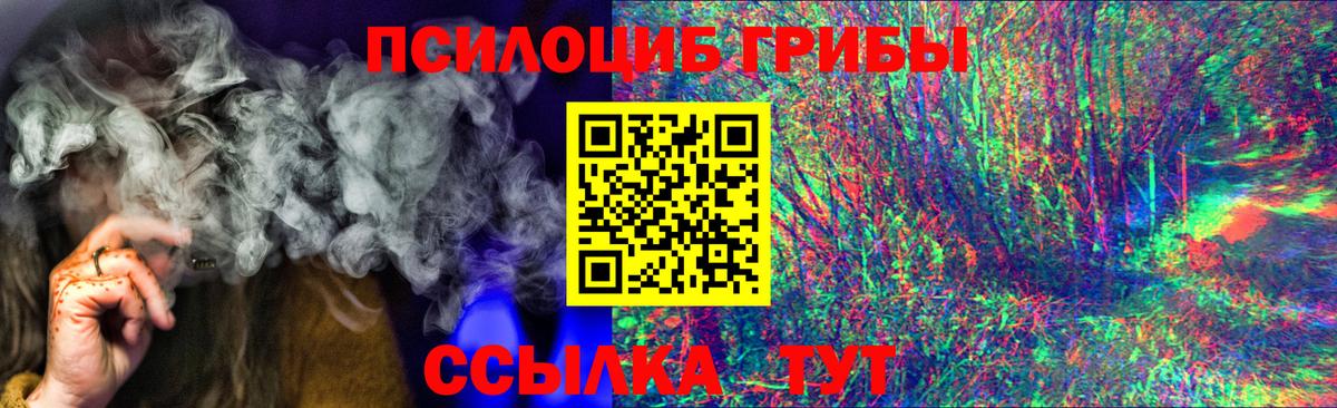 Псилоцибиновые грибы Psilocybe Кандалакша
